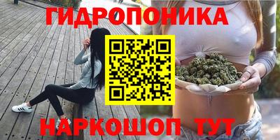 мдпв Партизанск